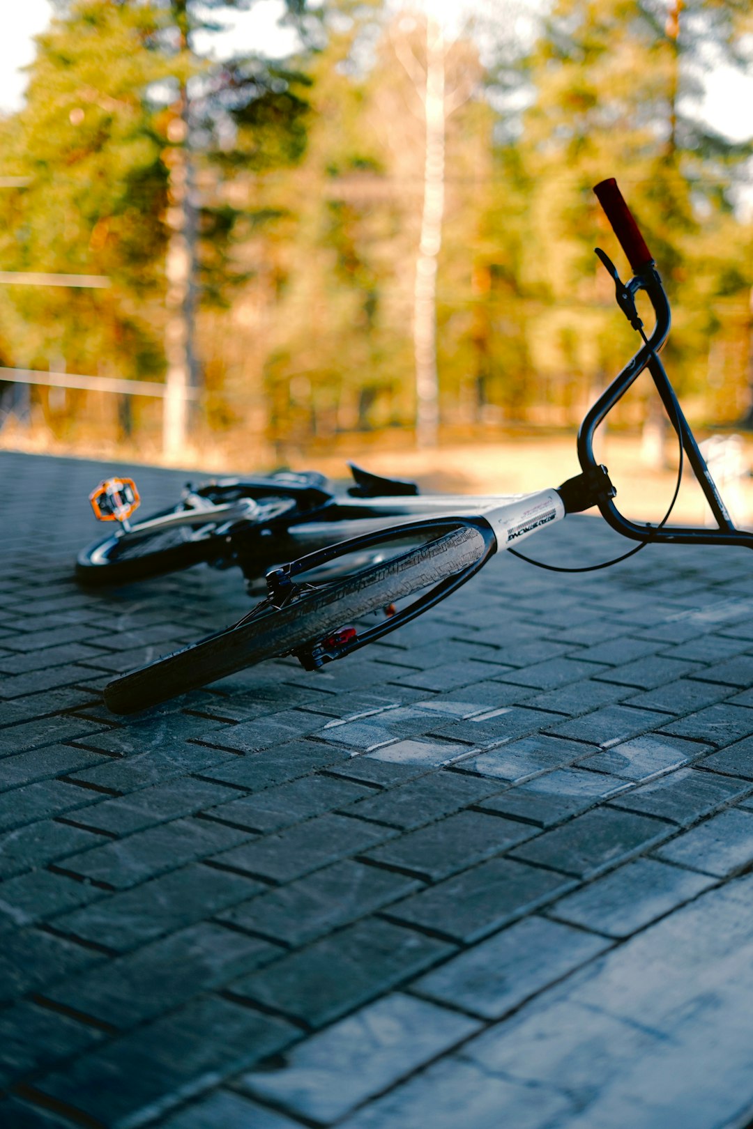 5ca7eab4369a4fe6b16c5809ae367454 A bicycle lies fallen on a brick pavement