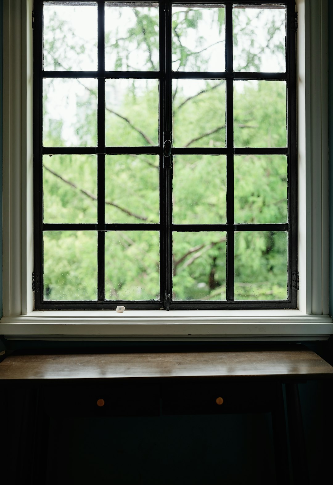 A gridded window shows green foliage outside