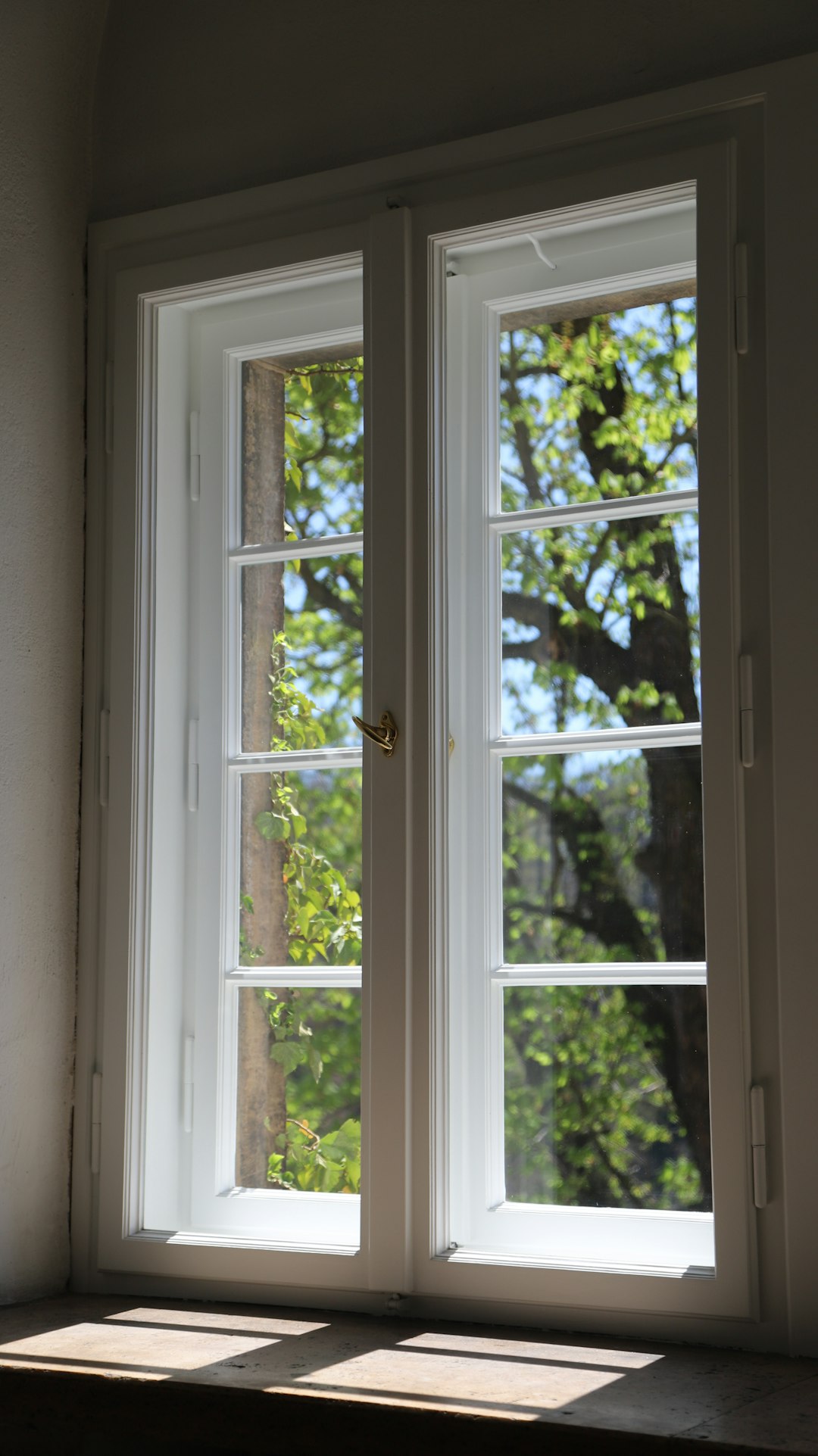 793c6821339844e2a360a03e79676da3 A white window frames vibrant green trees and sunlight