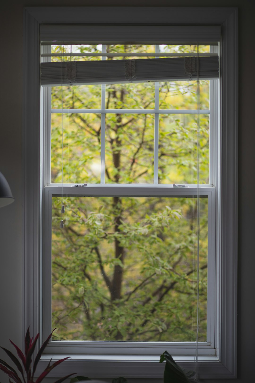 7f8ea2f4fcfd4193af65801aef24d180 white wooden framed glass window