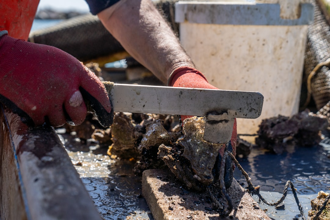92c7e41a2cf74878ad4d3fc0949cb131 A person with a pair of scissors cutting a piece of wood
