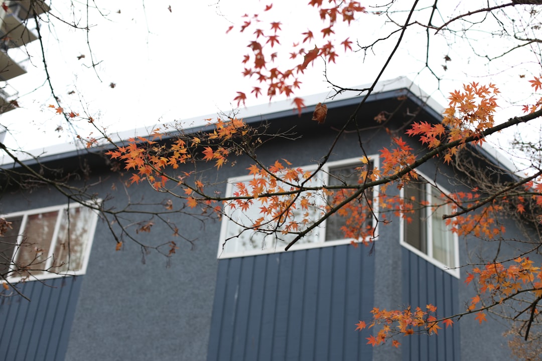 b8c1cdb54ae84d5086023ed26a8eaebc Autumn leaves frame a modern blue building