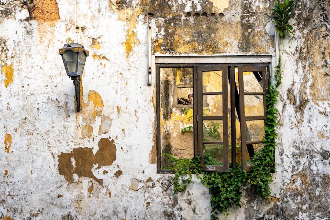 efbe0a37e4e24fcea7524c4a09647d9a Old weathered wall with broken window, ivy, and street lamp