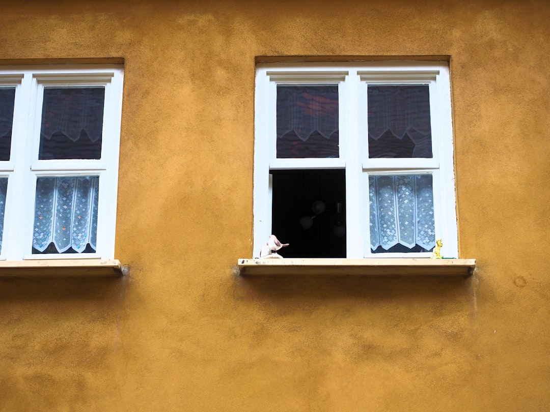 f0d3b7720a394ad598c5a786f11cdc97 Two white-framed windows on a yellow wall