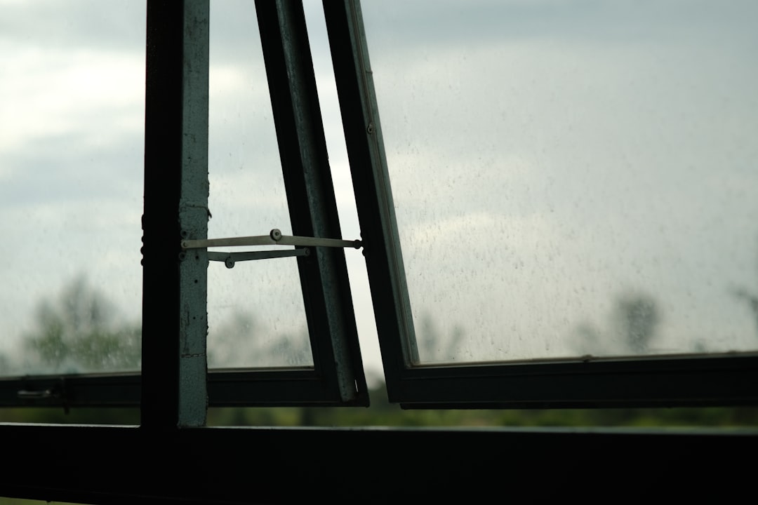 facdbeda8c80462d9617ff9cc4c6edc4 a window with a view of the sky and trees