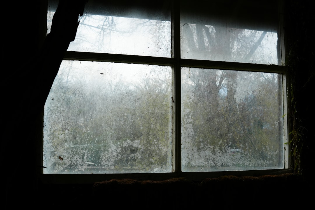 fb7b27a2991d4803b3a335a1a533654a A view of bare trees through a dirty, multi-pane window
