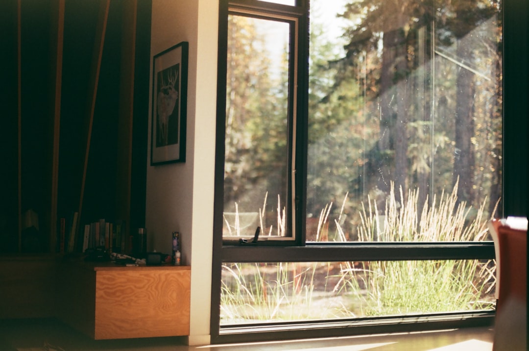 a room with a view of a forest outside the window