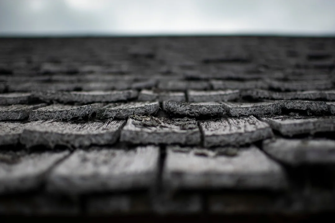 Weathered Asphalt Shingles Close-Up gray roof in grayscale photo