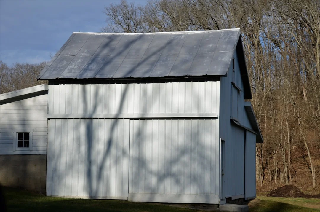 white and gray wooden house near bare trees under blue sky during daytime