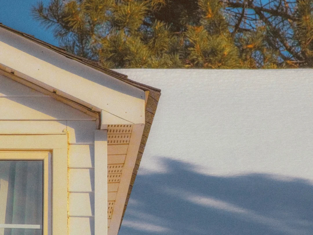 A snow-covered roof with pine trees and blue sky.