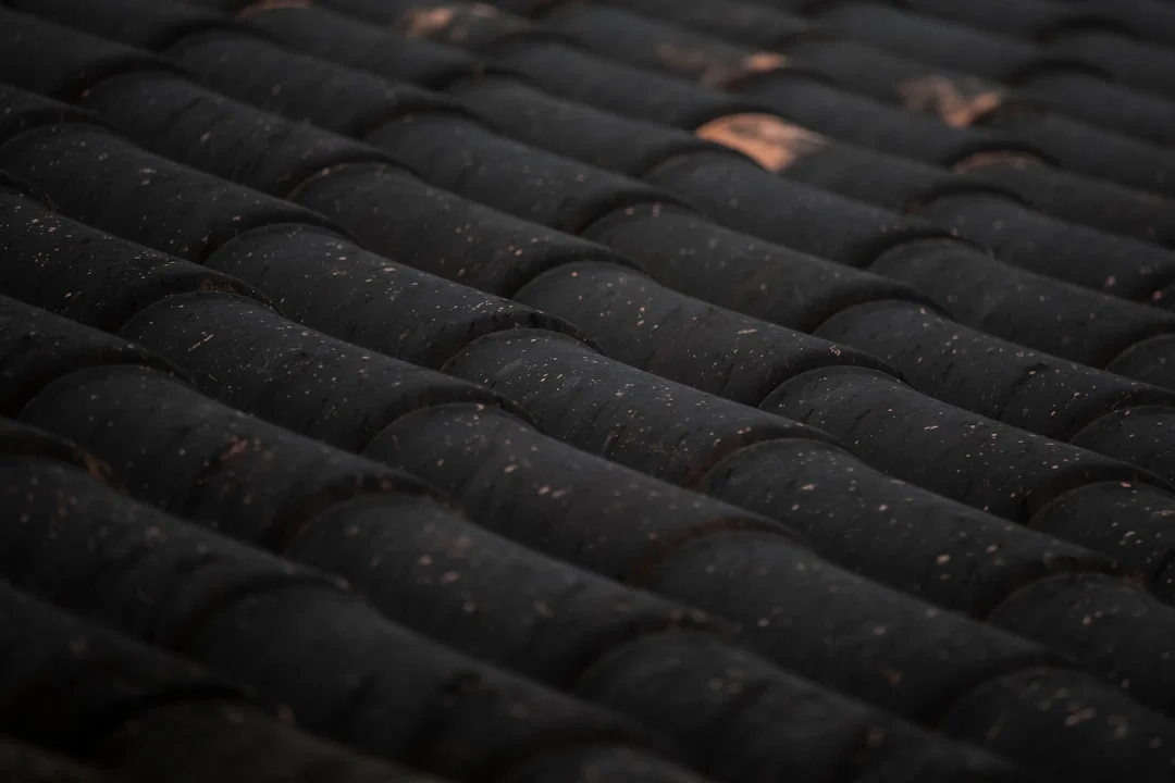 Close-Up of Curved Roof Tiles Close-up of dark curved roof tiles with dirt specks