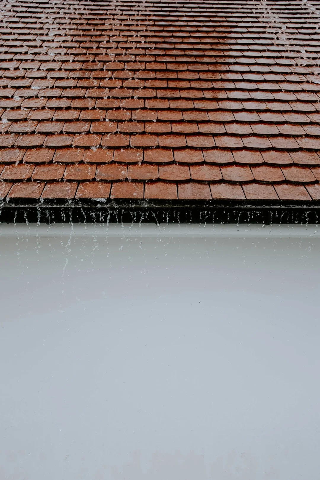 Close-up of a red clay tile roof with water droplets