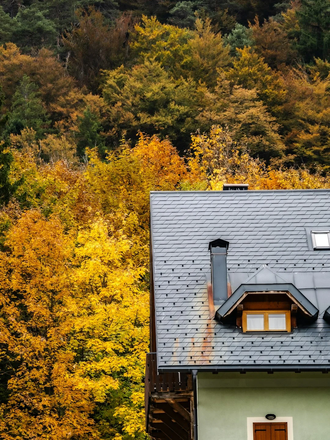 A house with a dormer window against autumn trees.