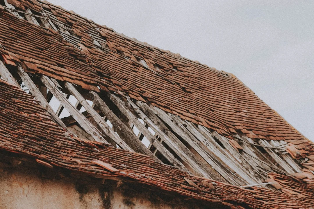 Roof Repair Needed at Residential Property brown and white wooden house
