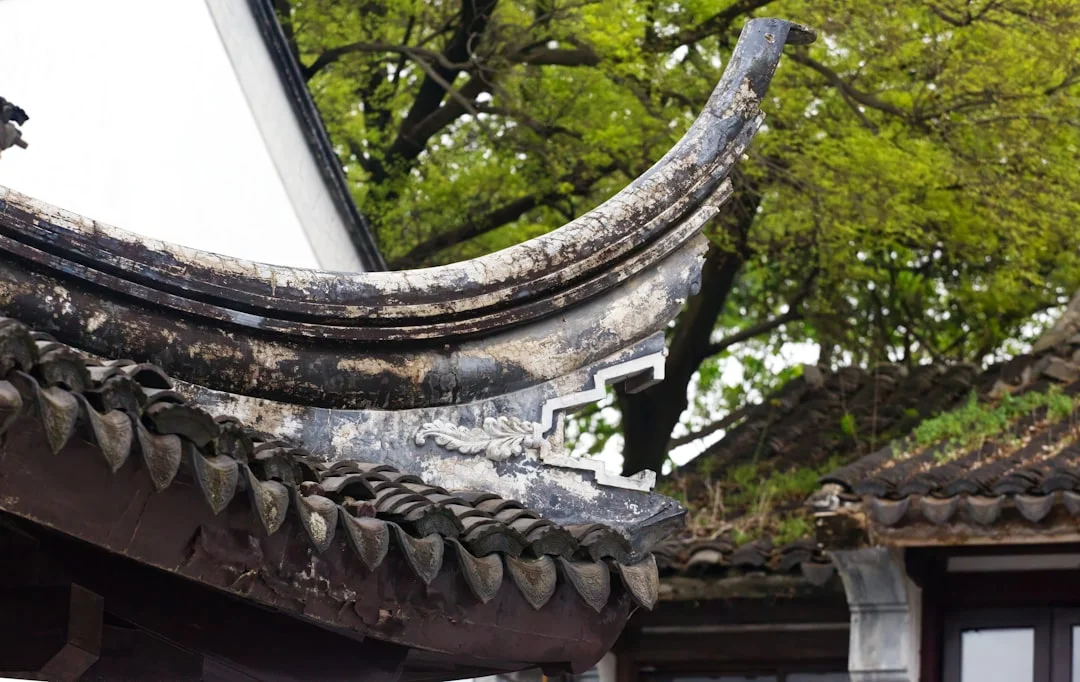 Traditional East Asian Roof Detail A close up of a roof with a tree in the background