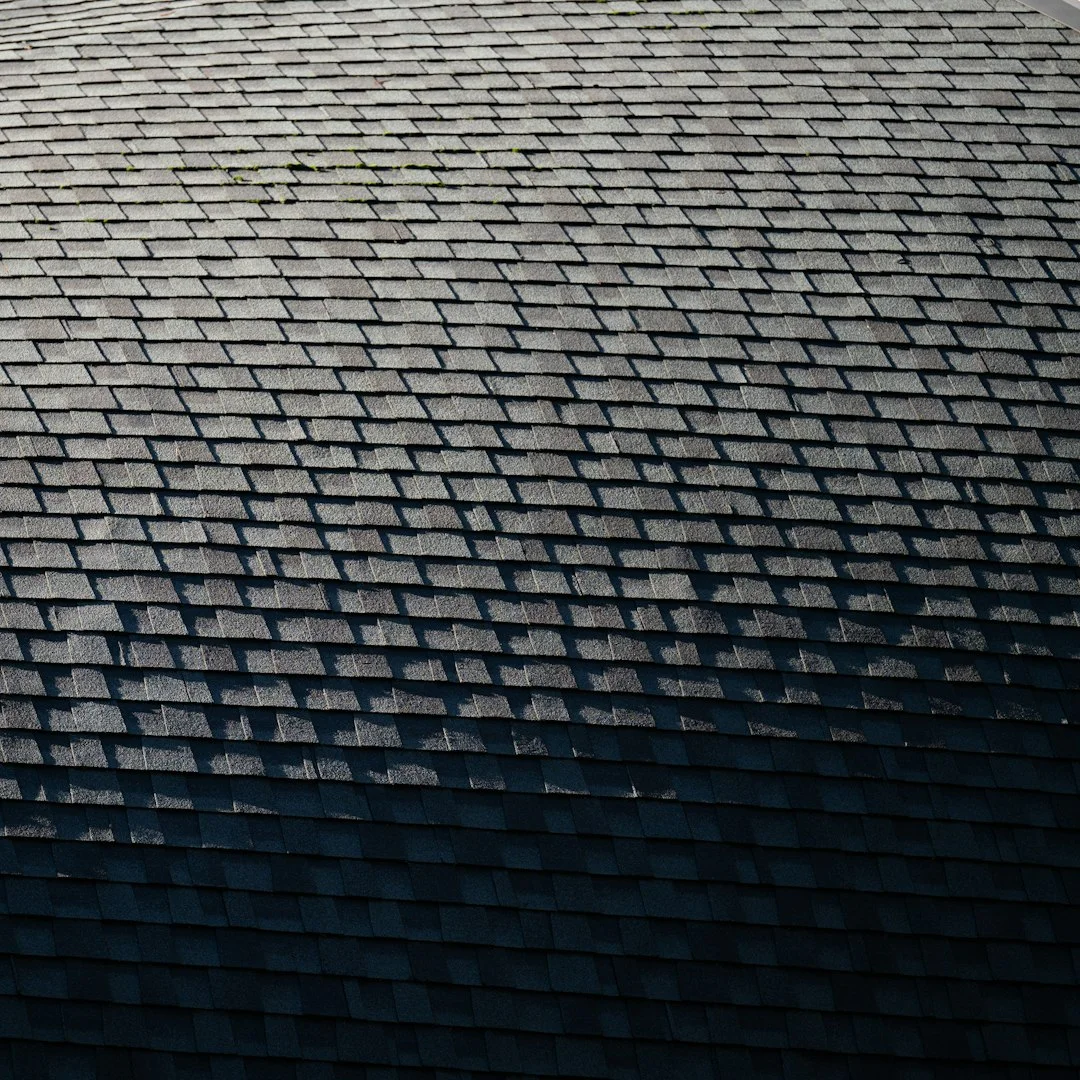 Close-Up of Asphalt Shingles A black and white photo of a roof