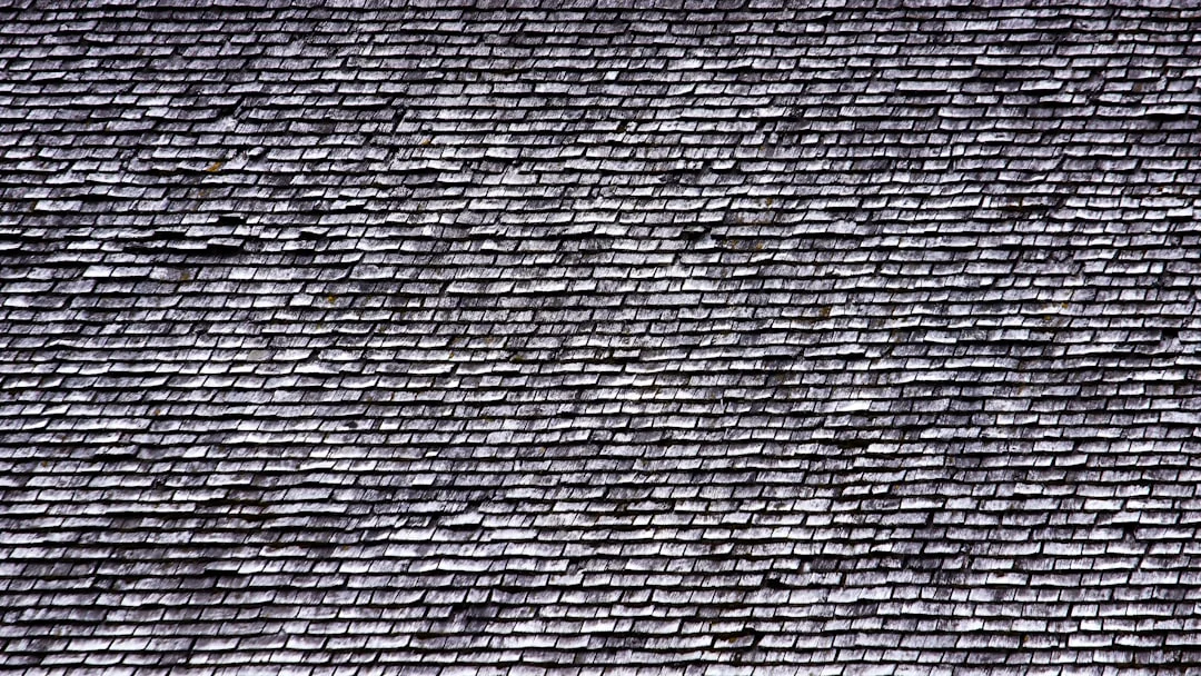 Close-Up of Shingle Roof the roof of a building with a lot of rain on it