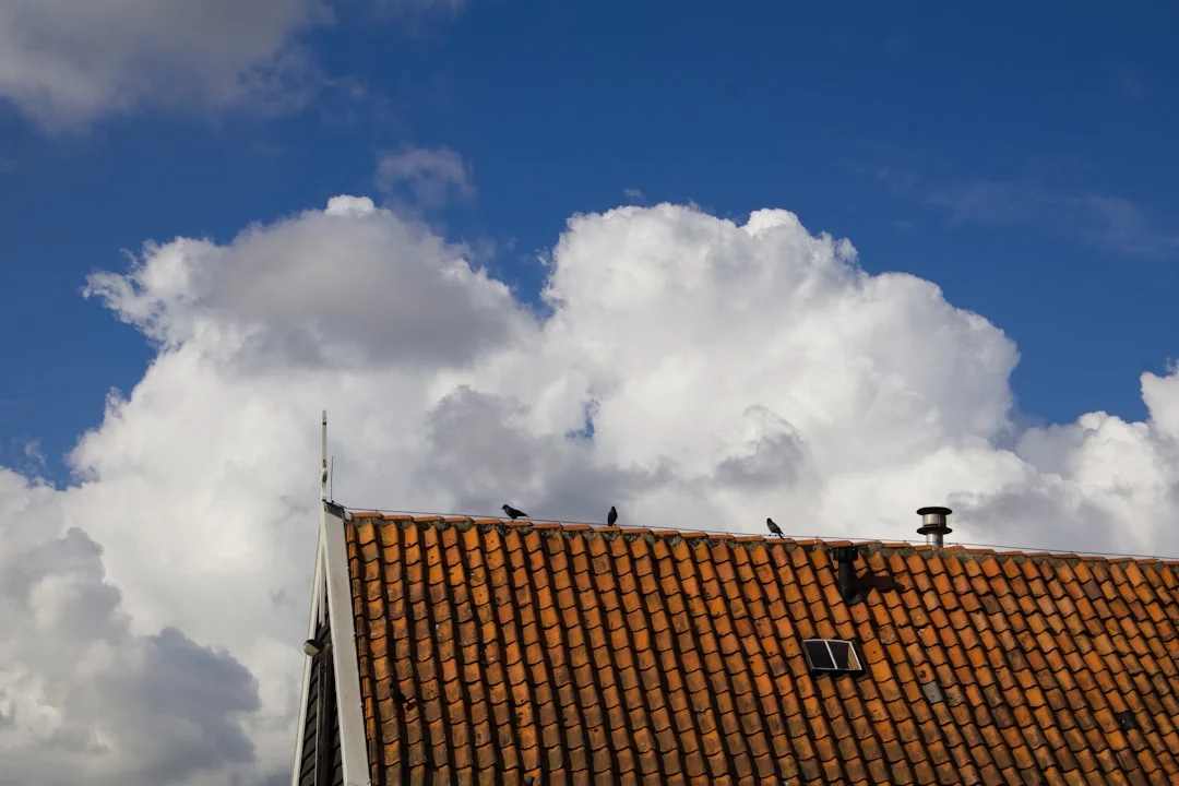 Clay Tiled Roof with Vents Birds perched on a tiled roof under clouds