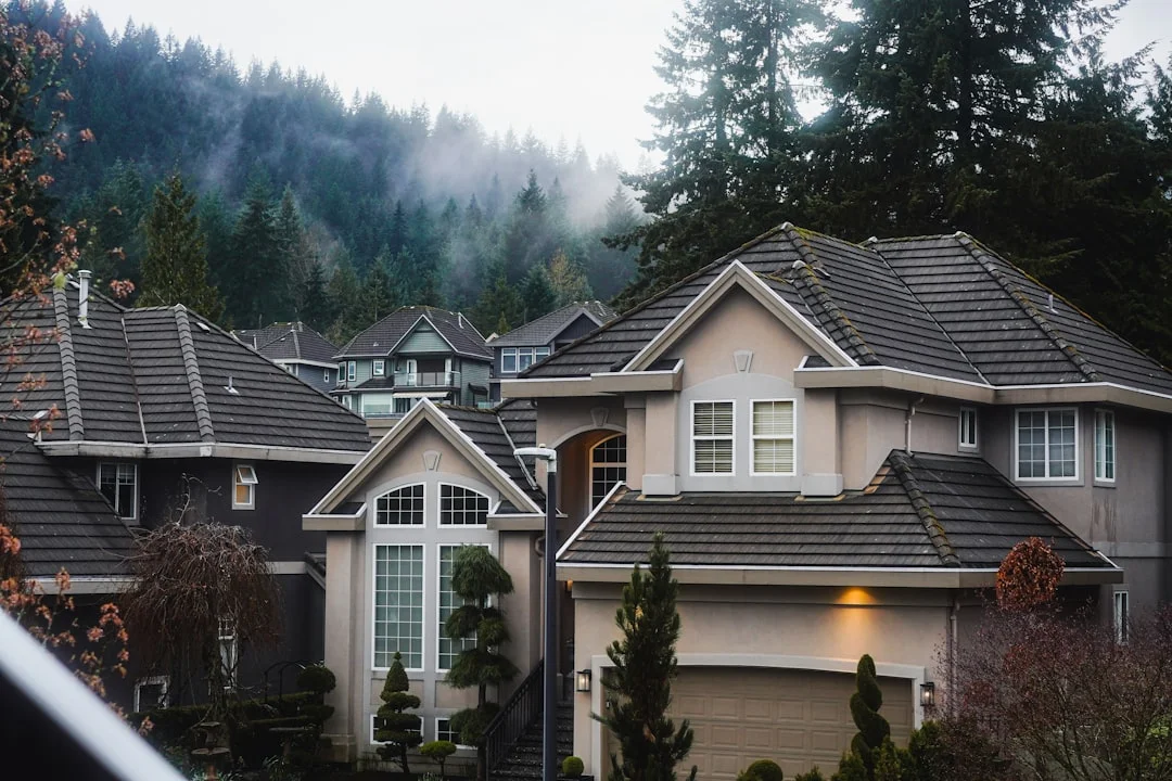 Suburban houses nestled among evergreen trees and fog.