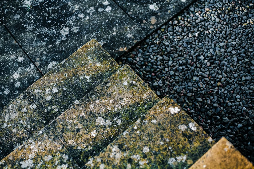 a close up of a tiled floor with moss growing on it